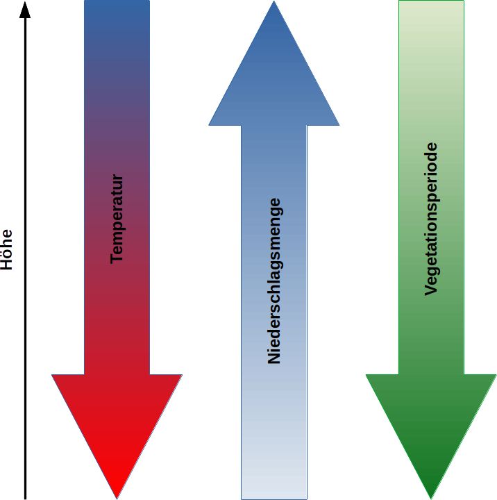Veränderungen mit der Höhe